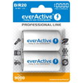 Akumulátor everActive 2x D / R20 Ni-MH 10000 mAh