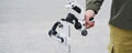 Ručný Gimbal FeiyuTech Scorp mini P Kit pre smartfóny - čierny FY4096
